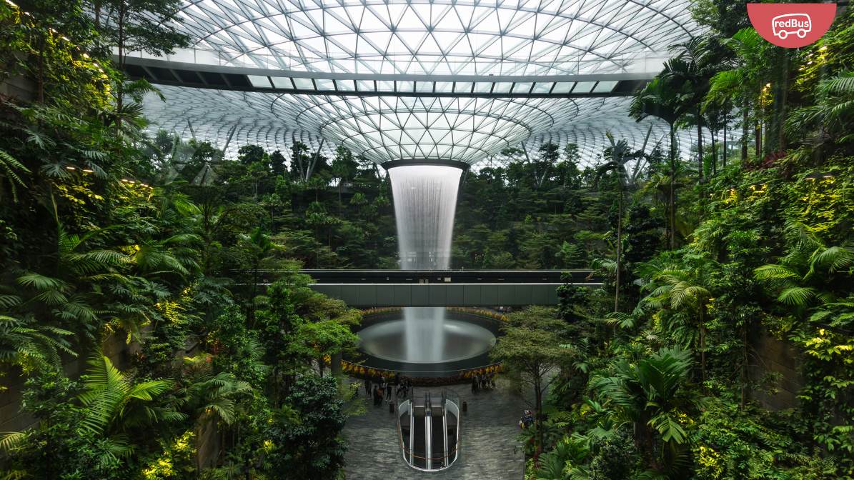 Maximize Your Savings : The Ultimate Guide to Changi Airport’s Rewards 2024