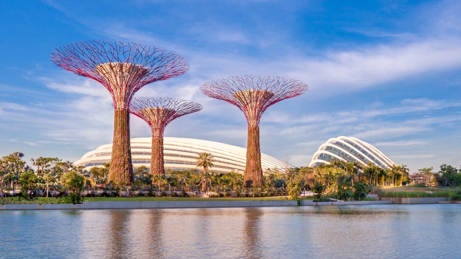 Step Into a Sci-Fi Movie at Gardens by the Bay