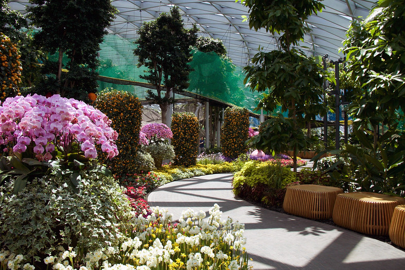 Canopy Park, Jewel Changi Airport