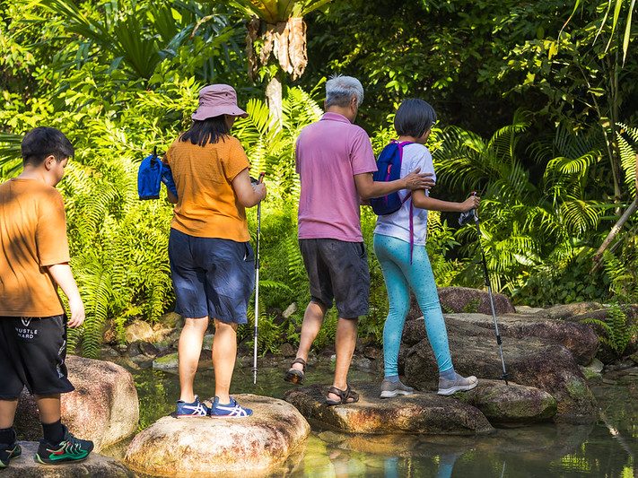 trekking in Rainforest Wild ASIA, Singapore