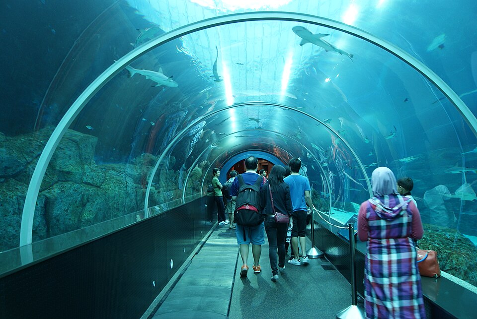 Shark Tunnel, Oceanarium Singapore